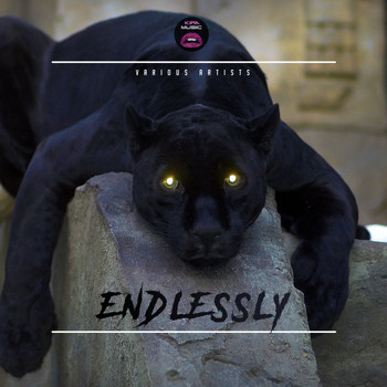 Various Artists - Endlessly