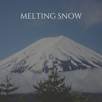 Steve Blame - Melting Snow