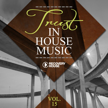 Various Artists - Trust in House Music, Vol. 15
