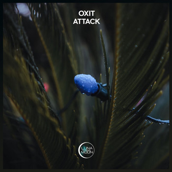 Oxit - Attack