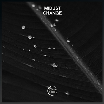 MiDust - Change