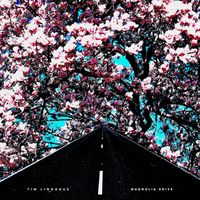 Tim Linghaus - Magnolia Drive