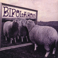 Bipolaroid - Transparent Make-believe