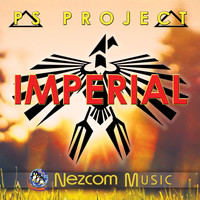 PS project - Imperial