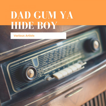 Various Artists - Dad Gum Ya Hide Boy
