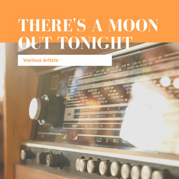Various Artists - There's a Moon out Tonight