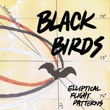 Black Birds - Elliptical Flight Patterns