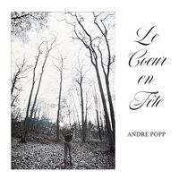 André Popp - Le cœur en fête