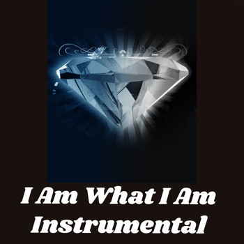 Joel Diamond - I Am What I Am Instrumental