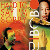 DJ Bobo - Hard to Say I'm Sorry