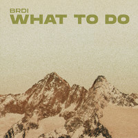BRDI - What to Do