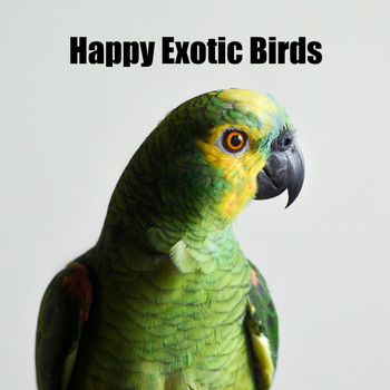 Nature Soundscape - Happy Exotic Birds
