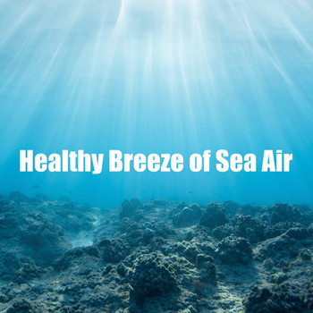 Womby Water Sounds - Healthy Breeze of Sea Air