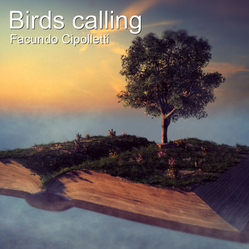 Facundo Cipolletti - Birds Calling