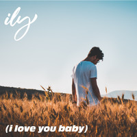 Vibe2Vibe - ILY (I Love You Baby)