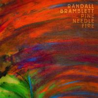 Randall Bramblett - Never Be Another Day