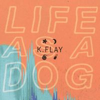 K.Flay - Life as a Dog (Explicit)