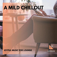 ILA Liam - A Mild Chillout - Joyful Music For Lounge