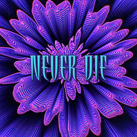 Pixel Palmera - Never Die (Explicit)