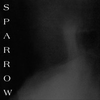 Sparrow - Paralysis