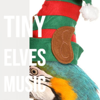 Various Artists - Tiny Elves Music