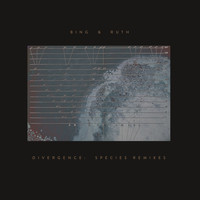 Bing & Ruth - Divergence: Species Remixes