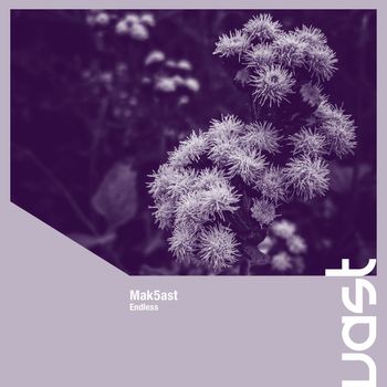 Mak5ast - Endless