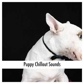 Relaxing Dog Music - Puppy Chillout Sounds