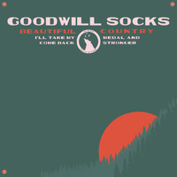 Bombadil - Goodwill Socks
