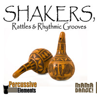 Barry van Zyl - Shakers, Rattles & Rhythmic Grooves