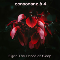Consonanz à 4 - The Prince of Sleep
