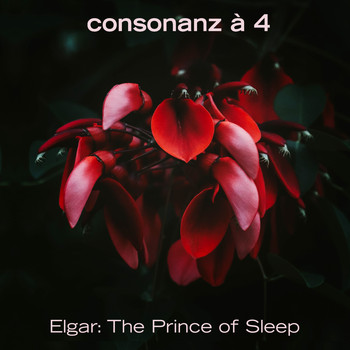 Consonanz à 4 - The Prince of Sleep