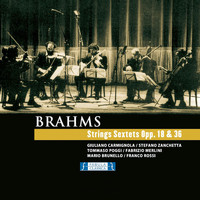 Johannes Brahms - Brahms - Strings Sextets Opp. 18 & 36
