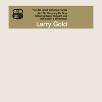 Larry Gold - Feel so Good
