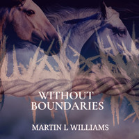 Martin L. Williams - Without Boundaries
