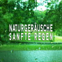 Regengeräusche Orchester von TraxLab - Naturgeräusche: Sanfte Regen