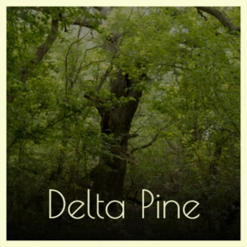 Various Artist - Delta Pine