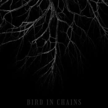 Zando - Bird in Chains
