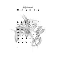Billy Martin - Meshes