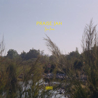 Jon Moon - Praise Jah