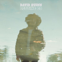 David Quinn - Letting Go