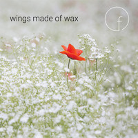 Farandicus - Wings Made of Wax (Edit) (Explicit)