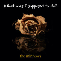 The Minnows - What Was I Supposed to Do?