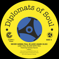 Diplomats Of Soul - Never Gonna Fall in Love Again (Like I Fell in Love with You) (Digital)