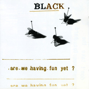 Black - Are We Having Fun Yet?