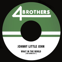Johnny Little john - What in the World (You Gonna Do?)