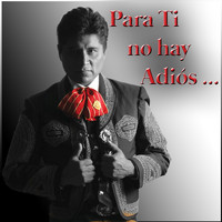 Martín Cavazos - Para Ti No Hay Adiós