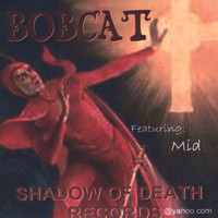 BOBCAT - Presents...