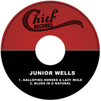 Junior Wells &  Earl Hooker - Galloping Horses a Lazy Mule / Blues in D Natural