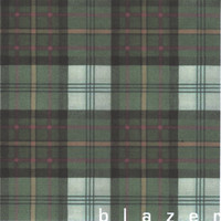 Blazer - The Last Wave